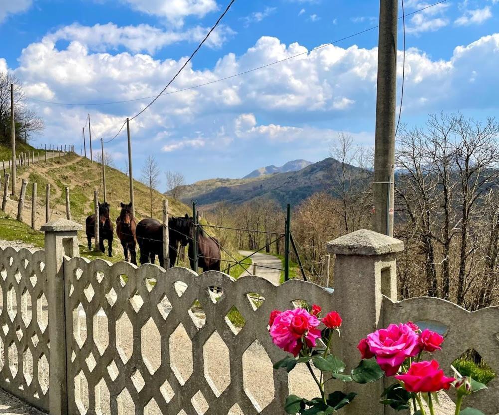 Colle Del Faggio Nature Home Cassego-Villa المظهر الخارجي الصورة