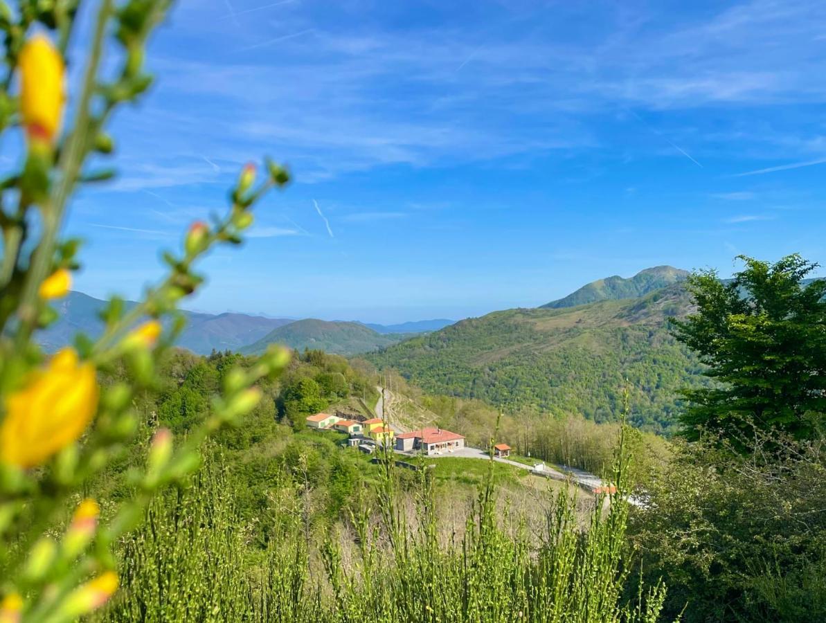 Colle Del Faggio Nature Home Cassego-Villa المظهر الخارجي الصورة