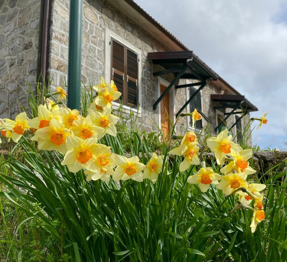 Colle Del Faggio Nature Home Cassego-Villa المظهر الخارجي الصورة