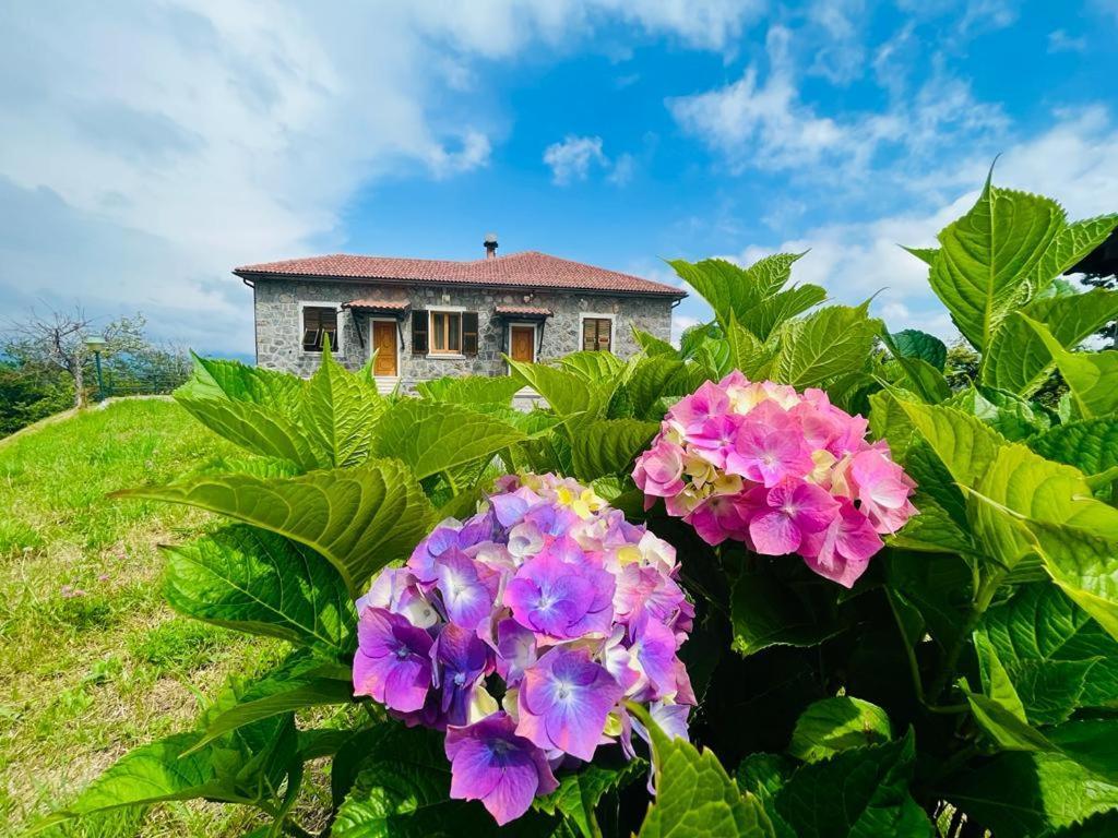 Colle Del Faggio Nature Home Cassego-Villa المظهر الخارجي الصورة